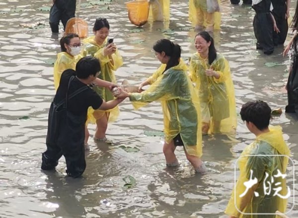 配资安全炒股配资门户 安财大百名学子一起摸鱼，食堂将烧鱼免费送给同学们品尝_大皖新闻 | 安徽网