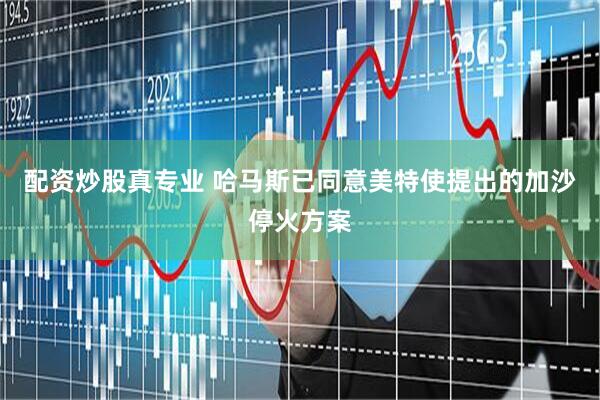 配资炒股真专业 哈马斯已同意美特使提出的加沙停火方案