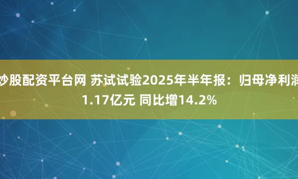 炒股配资平台网 苏试试验2025年半年报：归母净利润1.17亿元 同比增14.2%