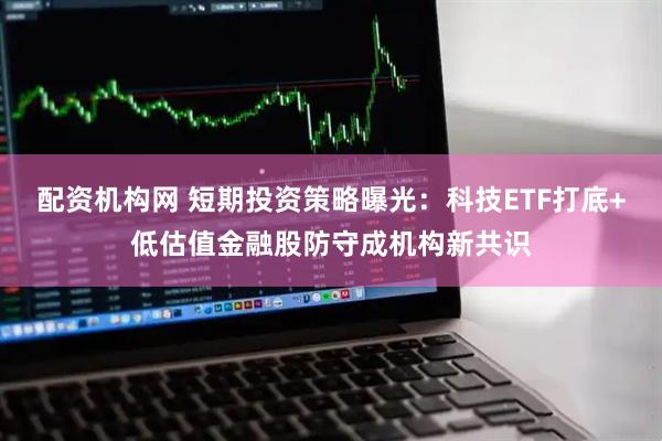 配资机构网 短期投资策略曝光：科技ETF打底+低估值金融股防守成机构新共识