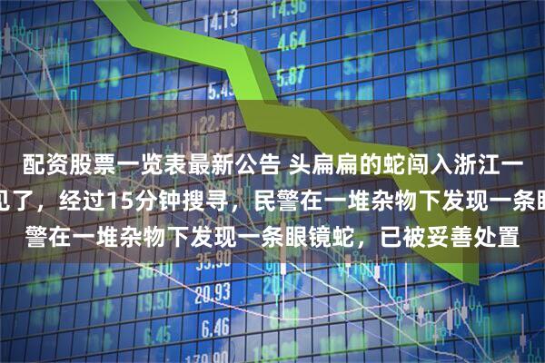 配资股票一览表最新公告 头扁扁的蛇闯入浙江一居民家中，眨眼间不见了，经过15分钟搜寻，民警在一堆杂物下发现一条眼镜蛇，已被妥善处置